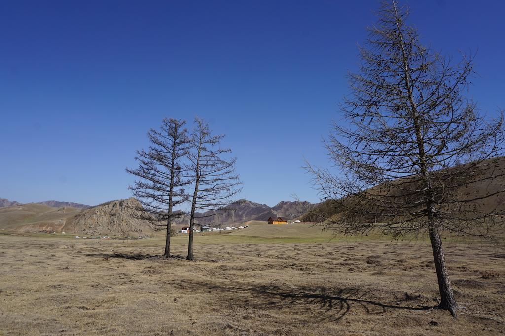 My Mongolia Eco Ger Camp Hotel Nalayh Eksteriør billede
