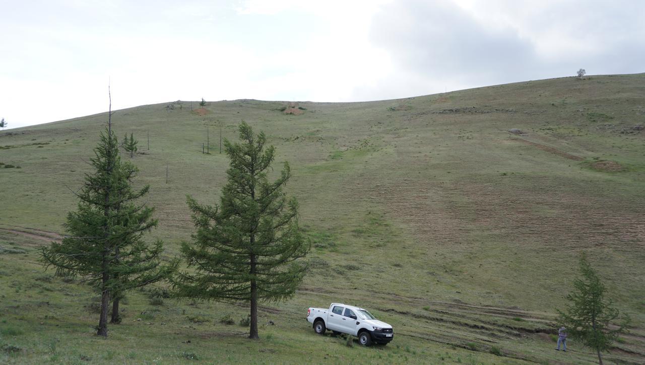 My Mongolia Eco Ger Camp Hotel Nalayh Eksteriør billede